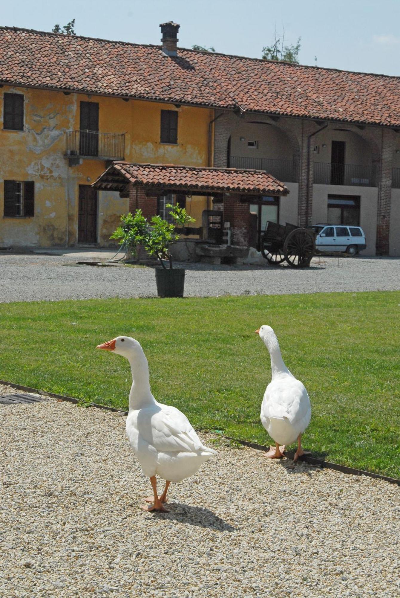 Hotel Antico Podere Propano Saluzzo Εξωτερικό φωτογραφία